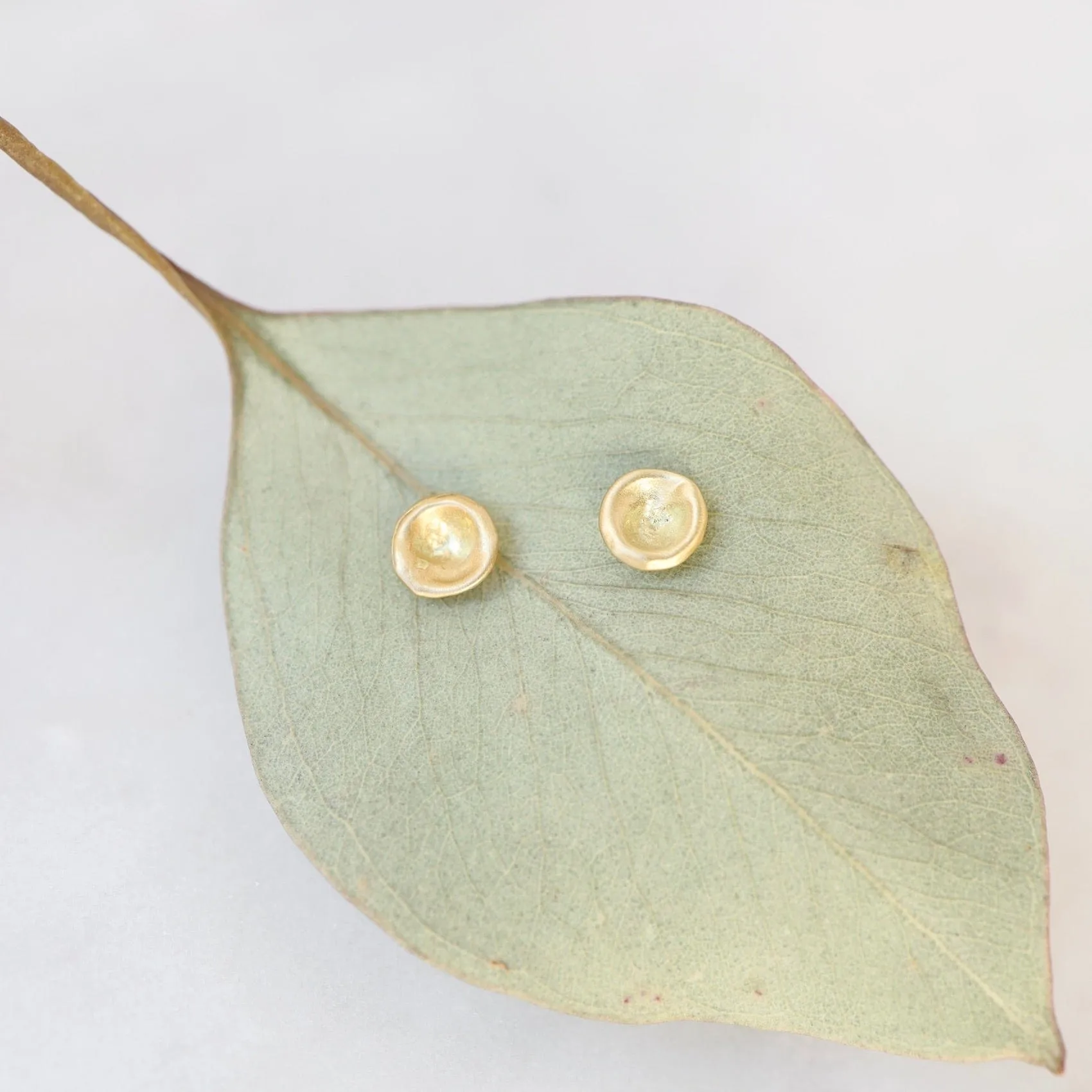 18k Yellow Gold Baby Mussel Shell Studs