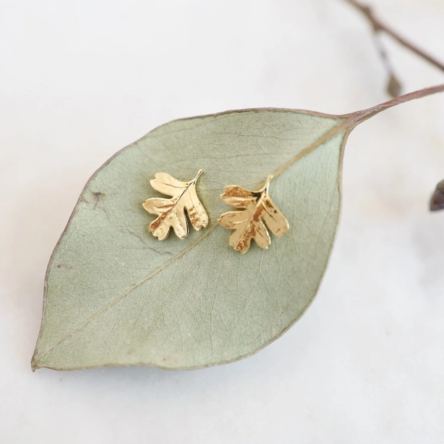 Oak Leaf Stud Earring in Gold Vermeil
