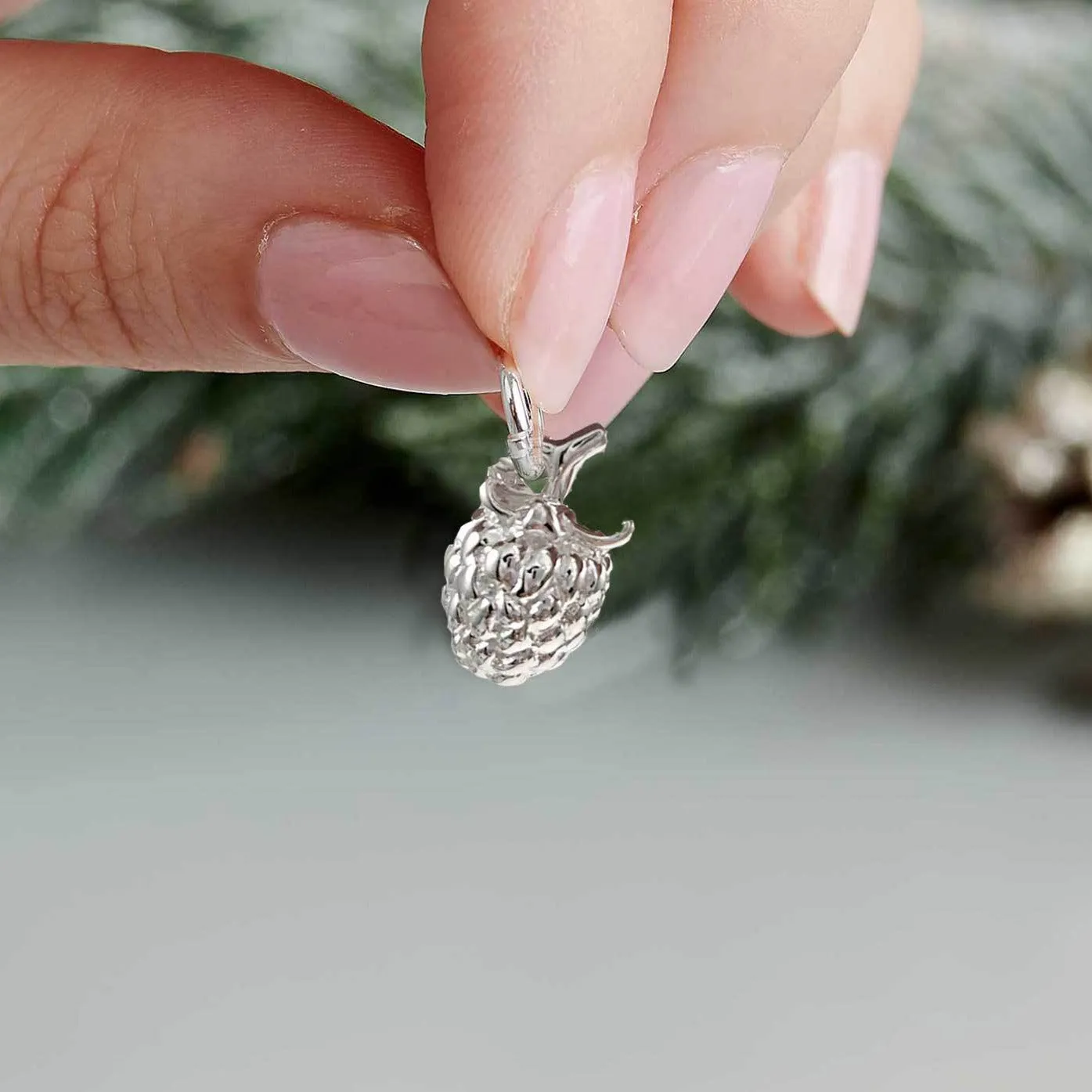 Raspberry Silver Charm