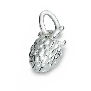 Raspberry Silver Charm