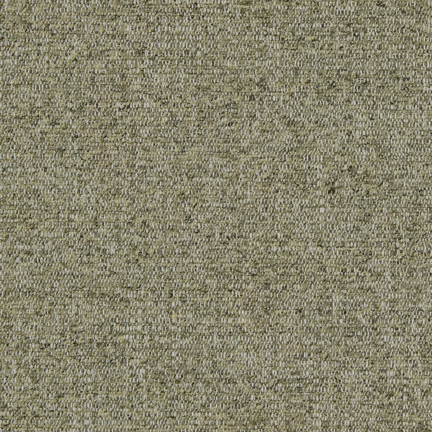 Tanaro Sepia
